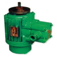 珠海起升電機(jī)高品質(zhì)